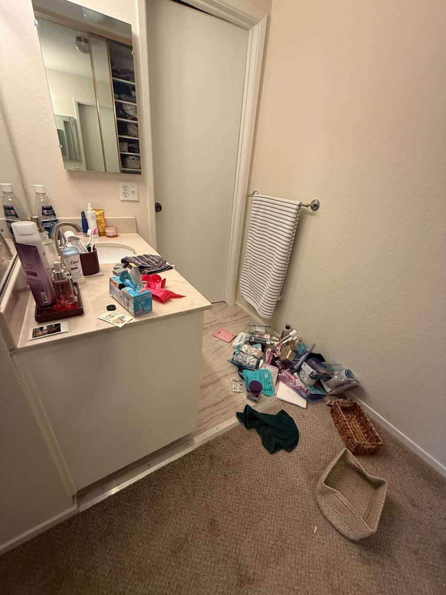 Bathroom before BelaClean reset